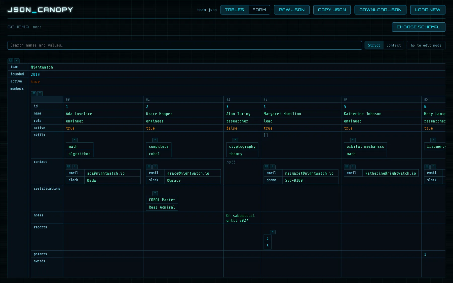 A team file shown as nested tables, one column per team member