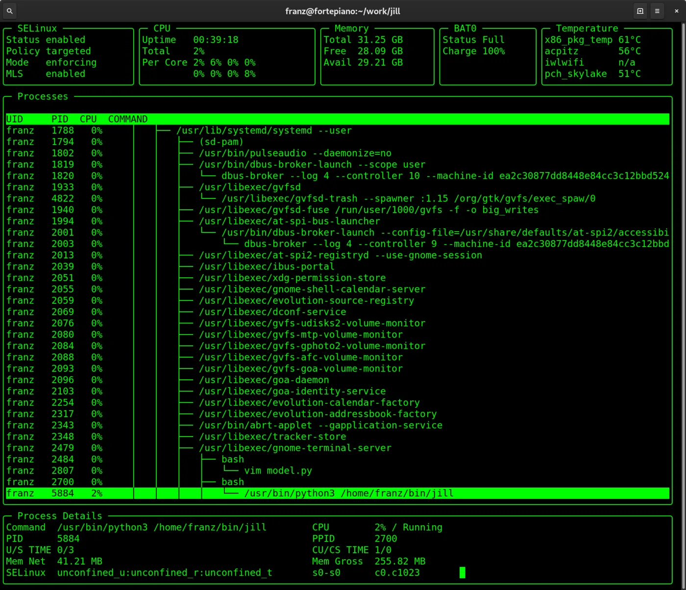 jill showing SELinux, CPU, memory, battery and temperature panels above a process tree and process details